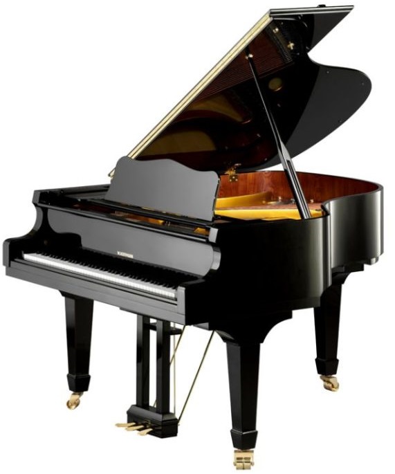 Hofmann & Czerny Baby Grand Piano